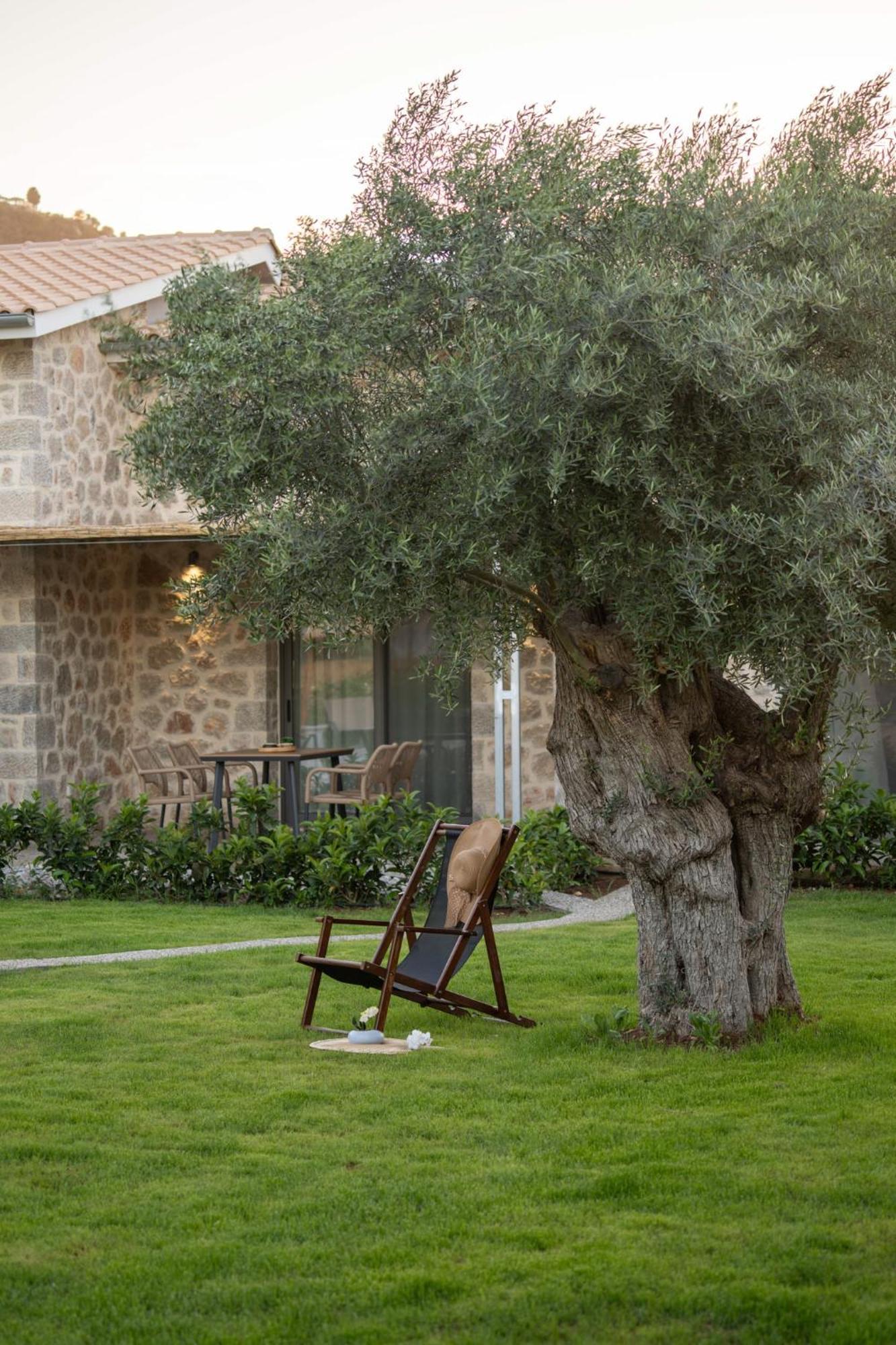 Yannis Retreat Apartment Lefkada City Luaran gambar