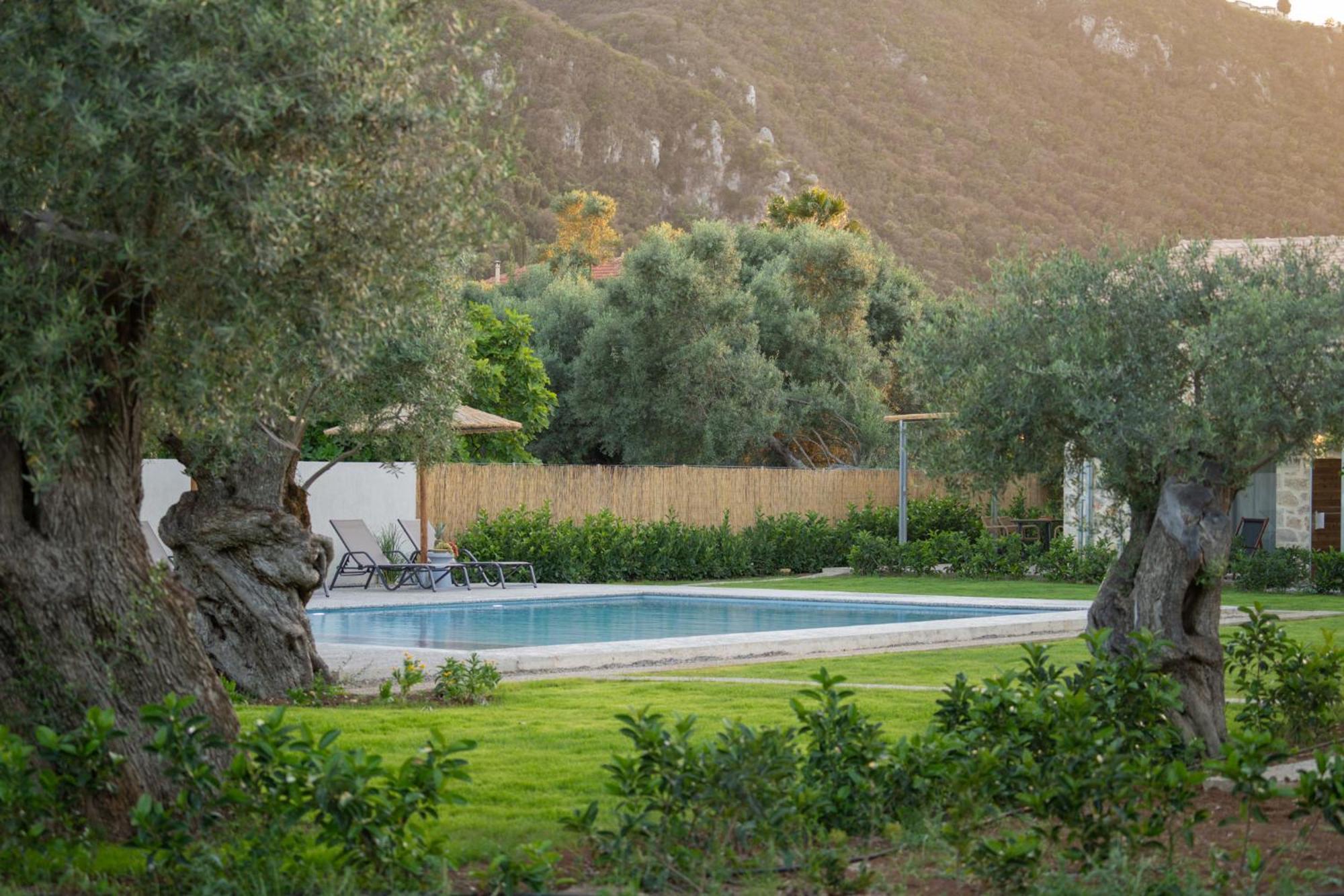 Yannis Retreat Apartment Lefkada City Luaran gambar